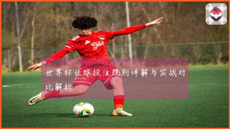 世界杯让球投注规则详解与实战对比解析