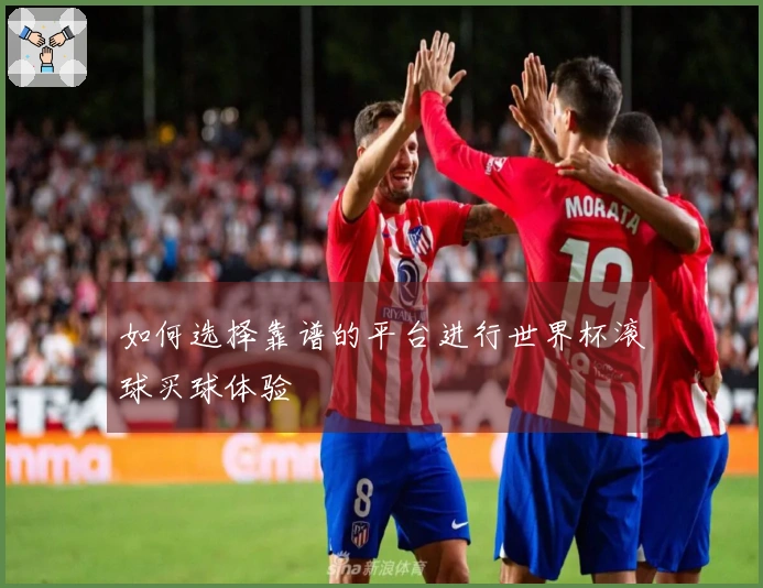 如何选择靠谱的平台进行世界杯滚球买球体验