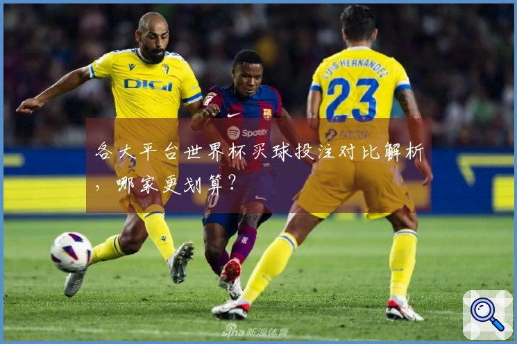 各大平台世界杯买球投注对比解析，哪家更划算？