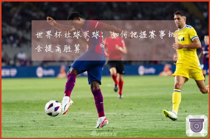 世界杯让球买球：如何把握赛事机会提高胜算
