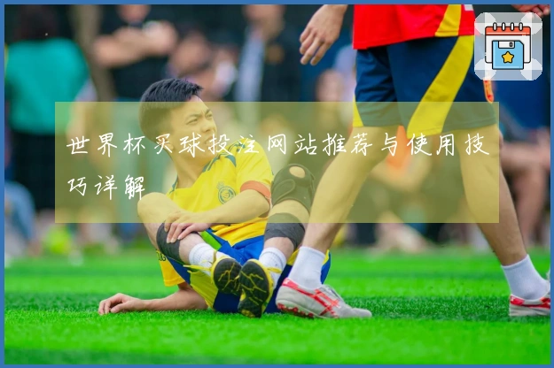 世界杯买球投注网站推荐与使用技巧详解