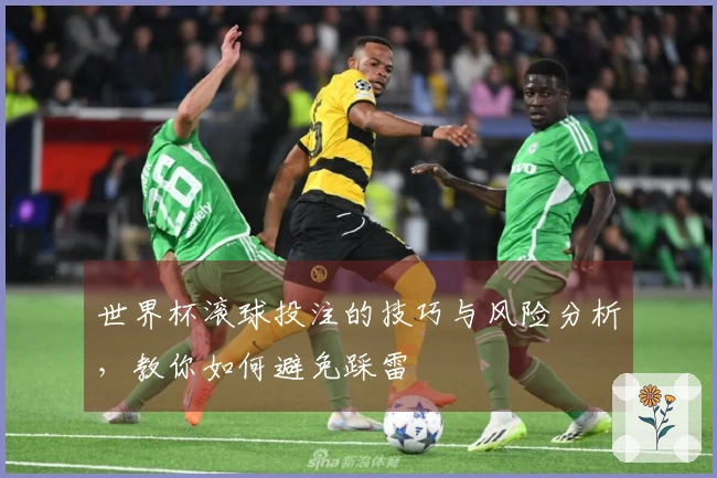 世界杯滚球投注的技巧与风险分析，教你如何避免踩雷