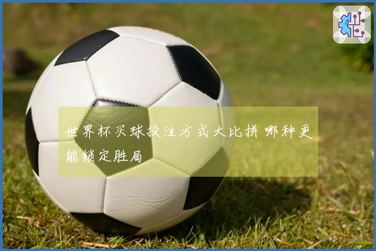 世界杯买球投注方式大比拼 哪种更能锁定胜局