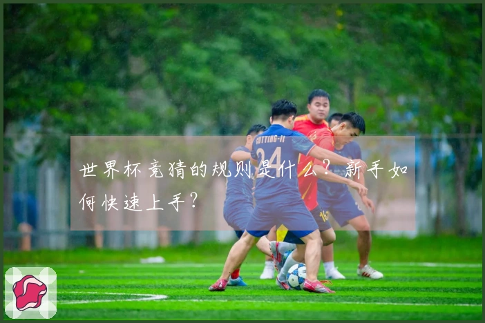 世界杯竞猜的规则是什么？新手如何快速上手？