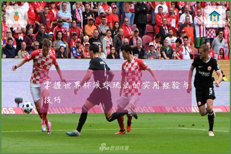 掌握世界杯滚球玩法的实用经验与技巧